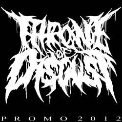 Throne Of Disgust : Promo 2012